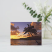 アメリカ、ハワイ、カウアイカラフル、2月の日の出 ポストカード (スタンド正面)