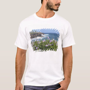 アメリカ、ハワイ、カウアイ島、カパア近郊、北西 Tシャツ