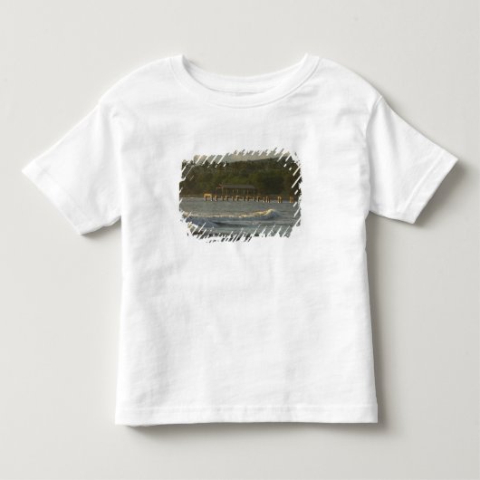 アメリカ ハワイ カウアイ島 南西海岸 付近 トドラーTシャツ (正面)