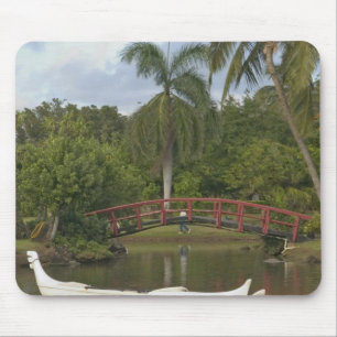アメリカ、ハワイ、カウアイ島、Smith Family Luau Garden マウスパッド