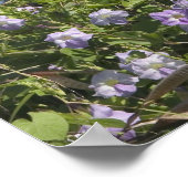 アメリカ、ハワイ、カウアイ、カパの近く、北西 ポスター (角)