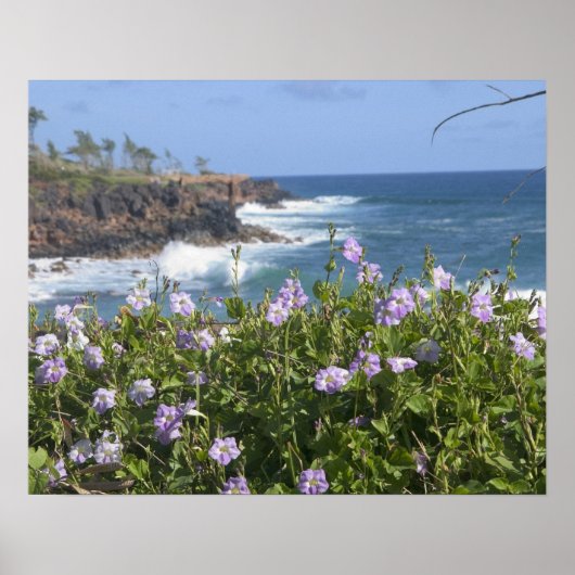 アメリカ、ハワイ、カウアイ、カパの近く、北西 ポスター (正面)