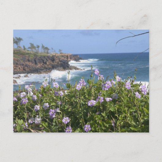 アメリカ、ハワイ、カウアイ、カパの近く、北西 ポストカード (正面)