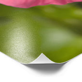 アメリカ、ハワイ、カウアイ、ハイビスカス フォトプリント            (角)