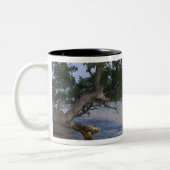 アメリカ、ハワイ、カウアイ、ビーチシーニック。RF) ツートーンマグカップ (左)