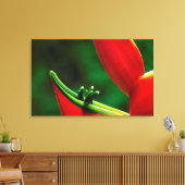 アメリカ、ハワイ、ヒロ。ヘリコニア キャンバスプリント (インサイチュ (リビング))