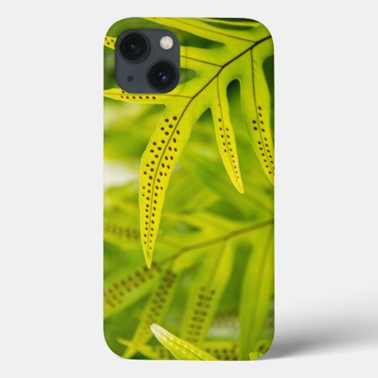 アメリカ ハワイ ビッグアイランド 熱帯の緑のシダ Case-Mate iPhoneケース (裏面)