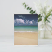 アメリカ, ハワイ. ビーチの風景 ポストカード (スタンド正面)