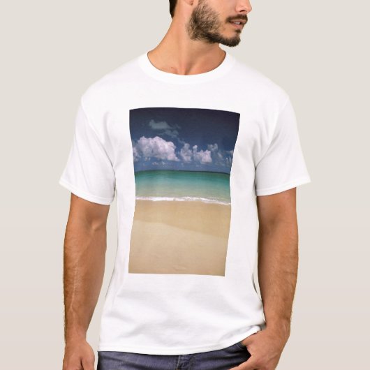 アメリカ、ハワイ。ビーチの風景 Tシャツ (正面)