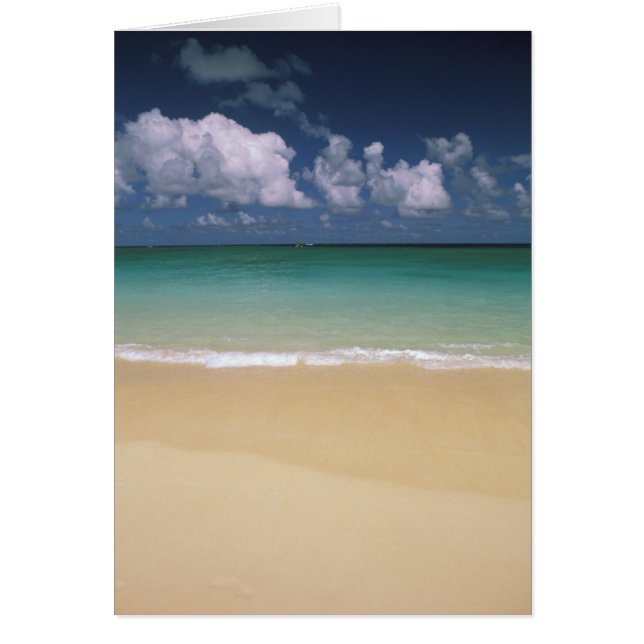 アメリカ、ハワイ。ビーチ場 (正面)