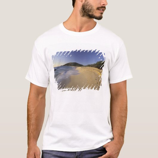 アメリカ、ハワイ、マウイ島、砂の上の足跡、マケナ Tシャツ (正面)