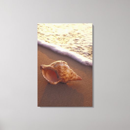 アメリカ、ハワイ、マウイ、キヘイ、夕べ灯 キャンバスプリント (正面)