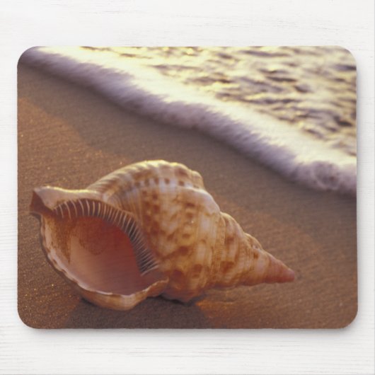 アメリカ、ハワイ、マウイ、キヘイ、夕べ灯 マウスパッド (正面)