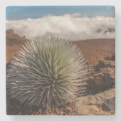 アメリカ、ハワイ、マウイ、ハレアカラ国立公園 ストーンコースター (正面)