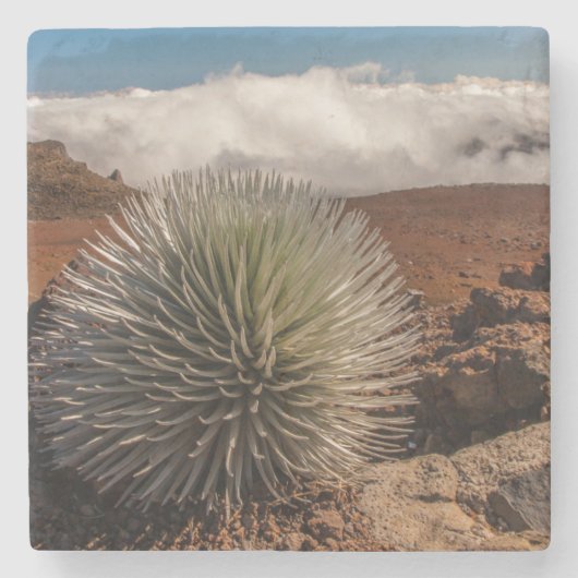 アメリカ、ハワイ、マウイ、ハレアカラ国立公園 ストーンコースター (正面)