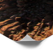 アメリカ、ハワイ、マウイ、ハレアカラ国立公園 ポスター (角)