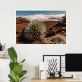 アメリカ、ハワイ、マウイ、ハレアカラ国立公園 ポスター (ホームオフィス)