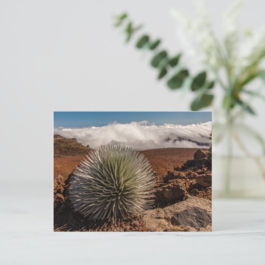 アメリカ、ハワイ、マウイ、ハレアカラ国立公園 ポストカード (スタンド正面)