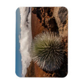 アメリカ、ハワイ、マウイ、ハレアカラ国立公園 マグネット (縦)