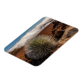 アメリカ、ハワイ、マウイ、ハレアカラ国立公園 マグネット (左側)