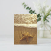 アメリカ、ハワイ、マウイ、マウイ、キヘイ、ヒトデと ポストカード (スタンド正面)