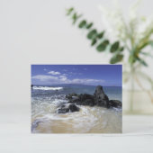 アメリカ、ハワイ、マウイ、マウイ、マケナビーチ、サーフ・オン ポストカード (スタンド正面)