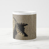 アメリカ、ハワイ、マウイ、マケナビーチ、ヒトデと ジャンボコーヒーマグカップ (正面)