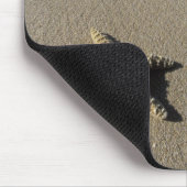 アメリカ、ハワイ、マウイ、マケナビーチ、ヒトデと マウスパッド (コーナー)