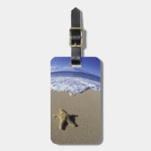 アメリカ、ハワイ、マウイ、マケナビーチ、ヒトデと ラゲッジタグ (正面縦)