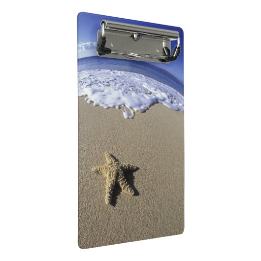 アメリカ,ハワイ,マウイ,マケナビーチ,ヒトデ ミニクリップボード (アングル)