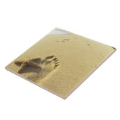 アメリカ、ハワイ、マウイ、マケナビーチ、フットプリント、 タイル (側面)