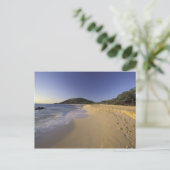 アメリカ、ハワイ、マウイ、砂浜の足跡、マケナ ポストカード (スタンド正面)