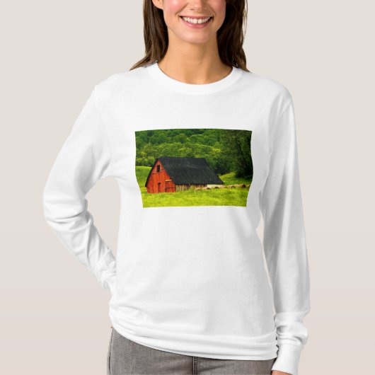 アメリカ, バージニア州, シェナンドー国立公園, 2 Tシャツ (正面)