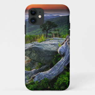 アメリカ, バージニア州, シェナンドー国立公園 iPhone 11 ケース