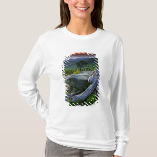 アメリカ, バージニア州, シェナンドー国立公園 Tシャツ