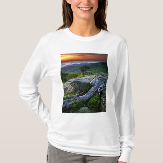 アメリカ, バージニア州, シェナンドー国立公園 Tシャツ (正面)