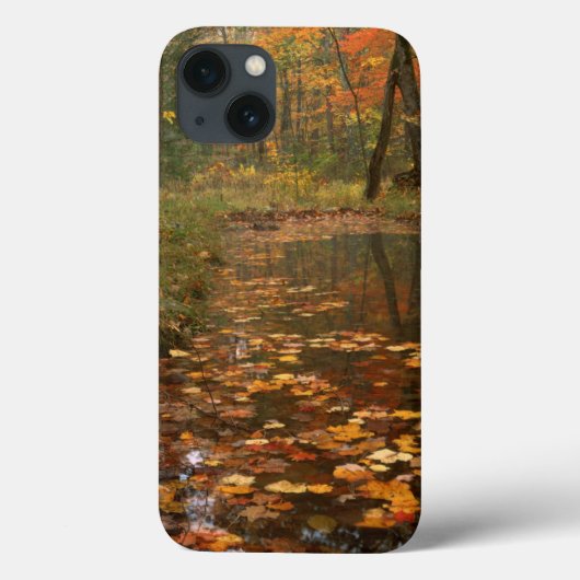 アメリカ、バージニア、オータムインドータ州パーク Case-Mate iPhoneケース (裏面)