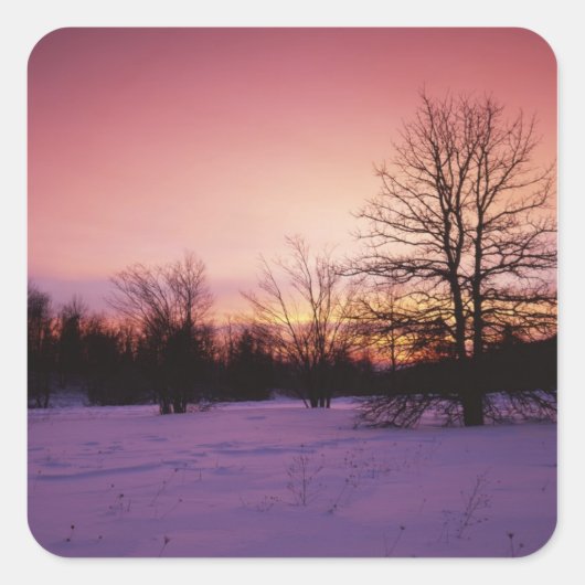 アメリカ、バージニア、シェナンドア国立公園。 スクエアシール (正面)