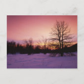 アメリカ、バージニア、シェナンドア国立公園 ポストカード (正面)