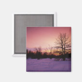 アメリカ、バージニア、シェナンドア国立公園。 マグネット (正面/裏面)