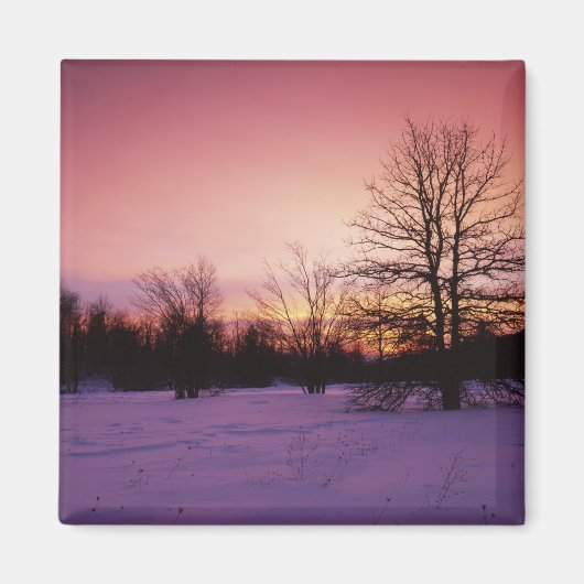 アメリカ、バージニア、シェナンドア国立公園。 マグネット (正面)