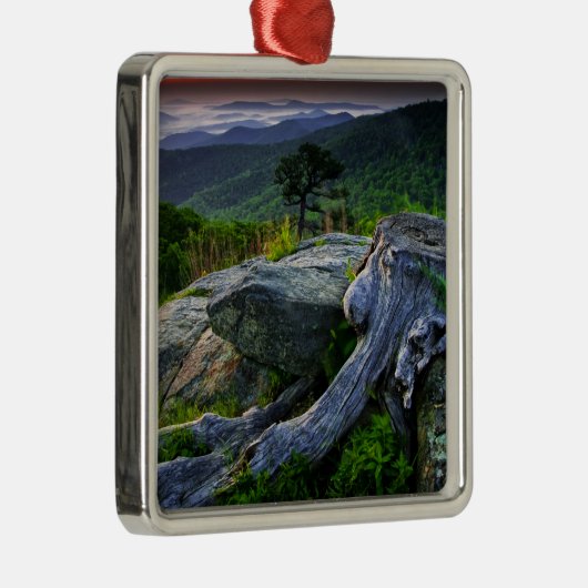 アメリカ、バージニア、シェナンドア国立公園。 メタルオーナメント (右)