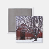 アメリカ、バージニア、フェアファックス郡、バーン、メープル マグネット (正面/裏面)