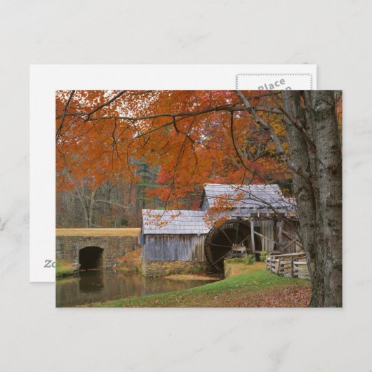 アメリカ,バージニア,ブルーリッジパークウェイ,秋 ポストカード (正面/裏面)