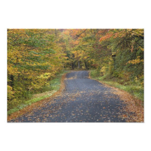 アメリカ、バーモント州南部、路傍の紅葉 フォトプリント