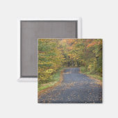 アメリカ、バーモント州南部、路傍の紅葉 マグネット (正面/裏面)