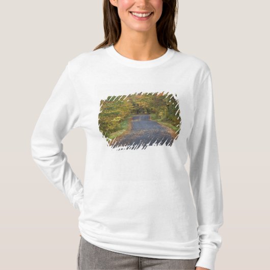 アメリカ、バーモント州南部、路傍の紅葉 Tシャツ (正面)