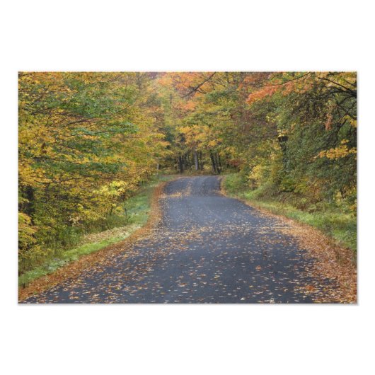 アメリカ、バーモント州南部、道路沿いの紅葉 フォトプリント            (正面)