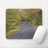 アメリカ、バーモント州南部、道路沿いの紅葉 マウスパッド (マウス)