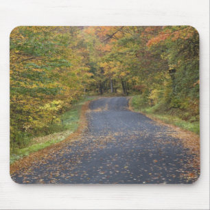 アメリカ、バーモント州南部、道路沿いの紅葉 マウスパッド